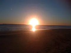 Morning walk September 4 2010