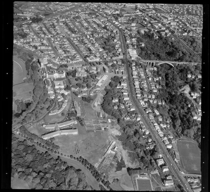 Grafton, Auckland, includes Auckland City Hospital and Grafton Bridge