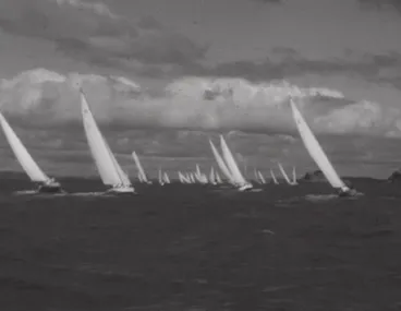 Image: Islands of the Gulf - Rakino and Kawau