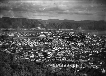 Image: Looking east over Petone