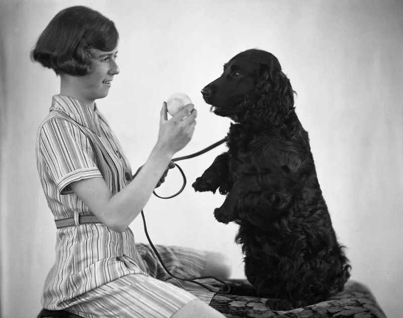 Pullen, Girl and Dog