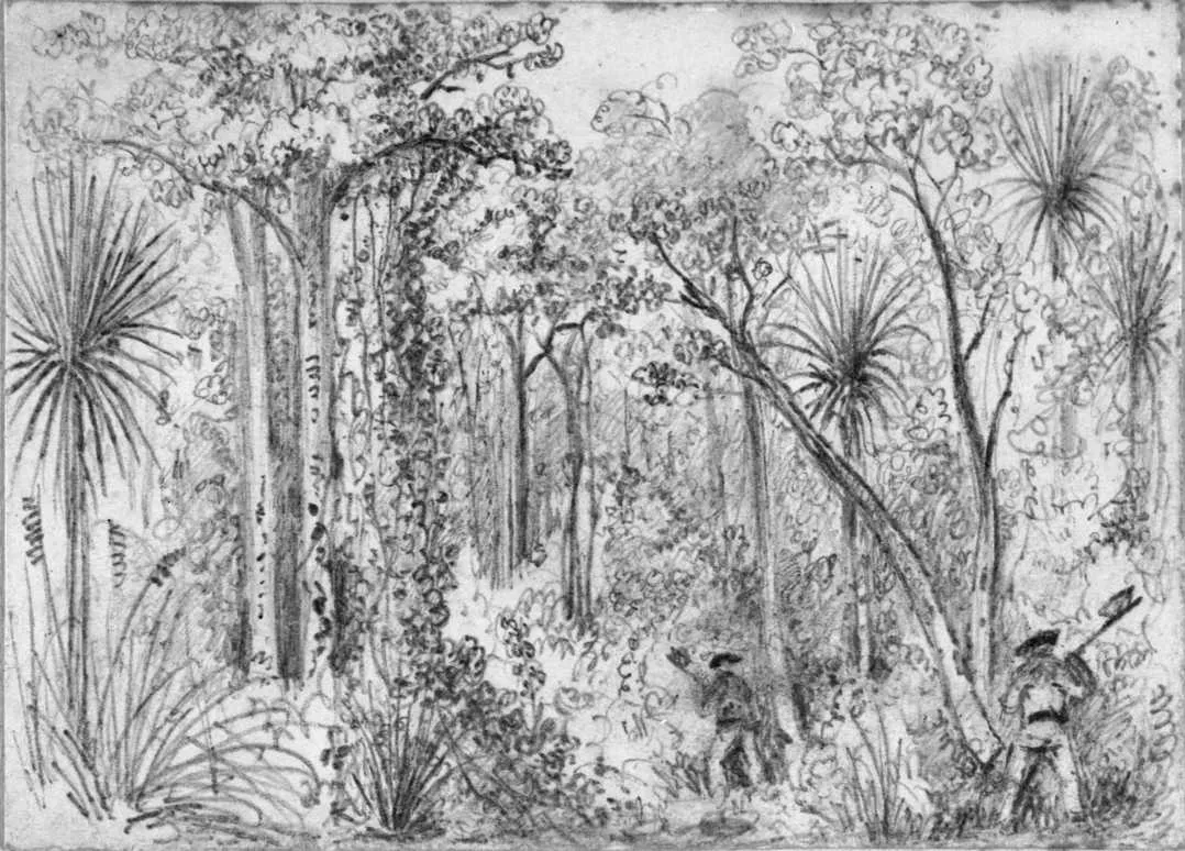 Swainson, William, 1789-1855 : [Clearing bush, ca 1845]. Drawings & Prints Collection, Reference No. E-295-q-045 Alexander Turnbull Library, Wellington, New Zealand