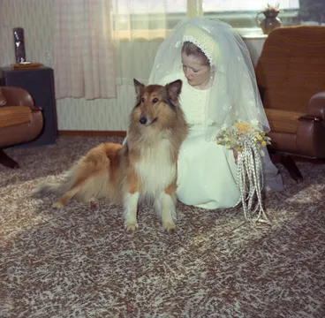 Image: Walters, Wedding
