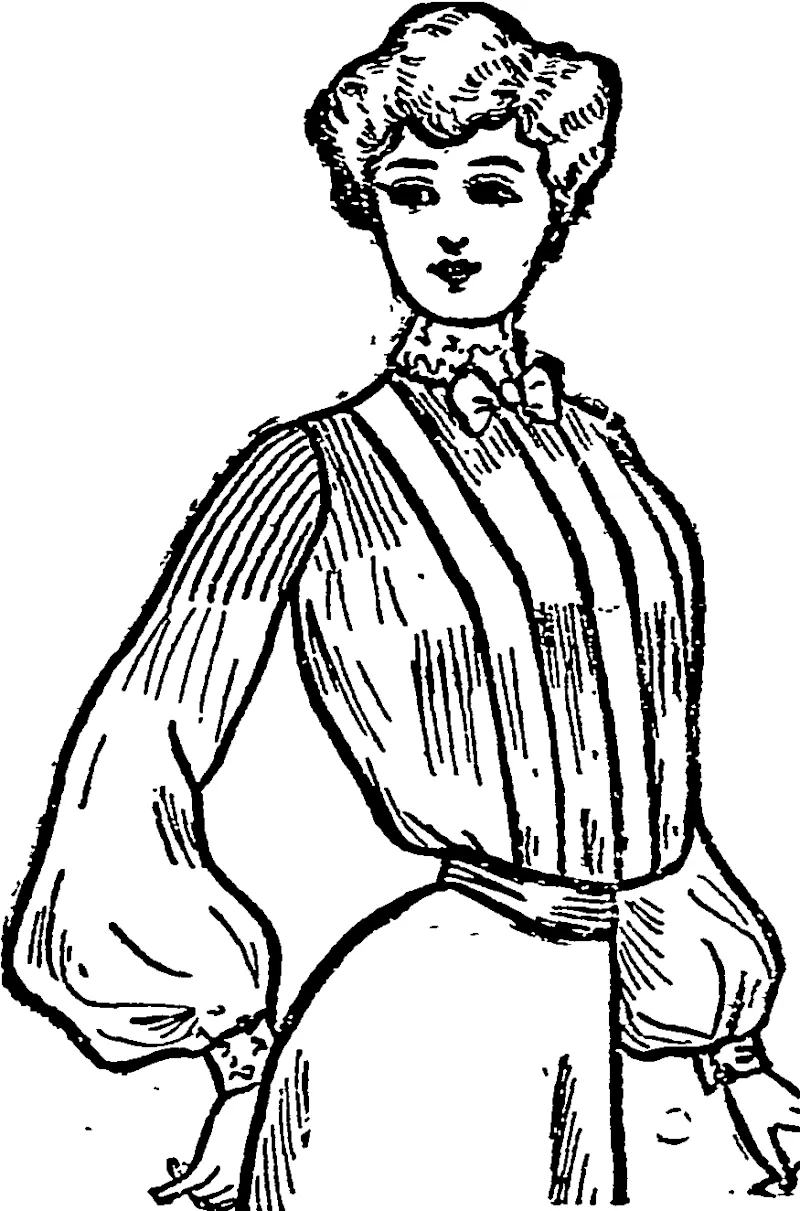 A USEFUL BLOTJ6E. (Otago Witness, 17 December 1902)