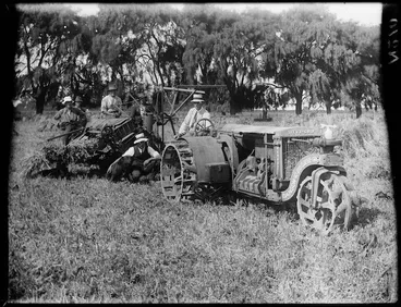 Image: Harvesting equipment and workers