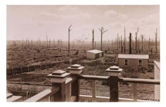 Cleared land