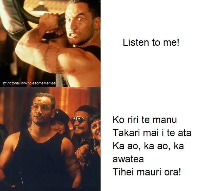 Memes in te reo Māori posted to social media
