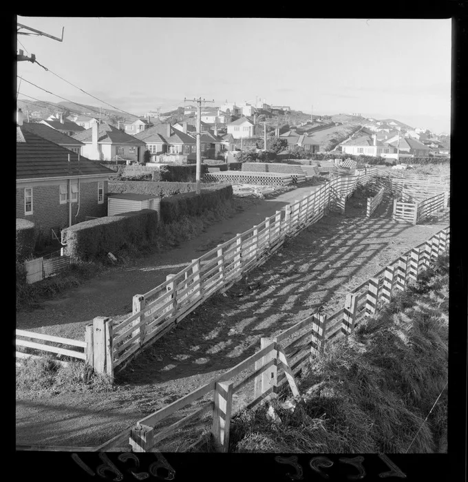 Stockyards at Johnsonville, Wellington region