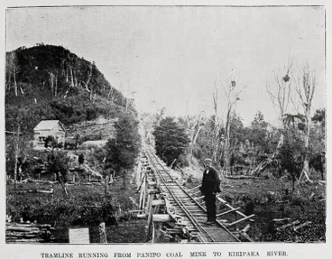 Image: A rich district: Auckland's Northern Peninsula