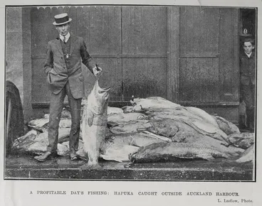 Image: A Profitable Day's Fishing