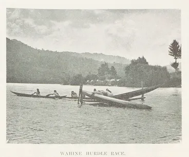 Image: Wahine hurdle race