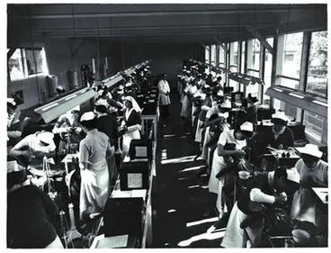 Image: Mt Eden Dental Centre