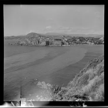 Image: Slick at Titahi Bay, Wellington
