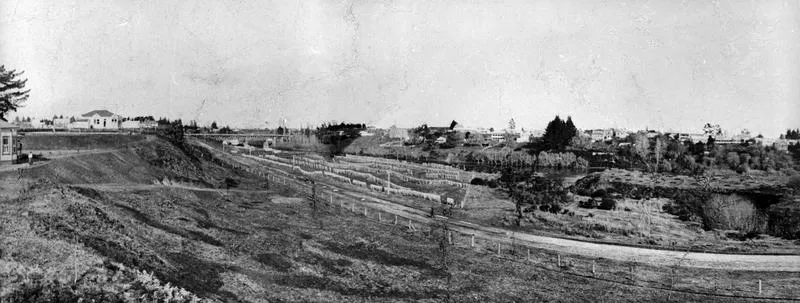 Flax drying in Hamilton East
