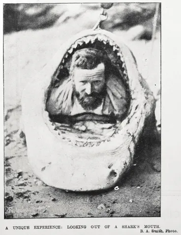 Image: A UNIQUE EXPERIENCE: LOOKING OUT OF A SHARK'S MOUTH