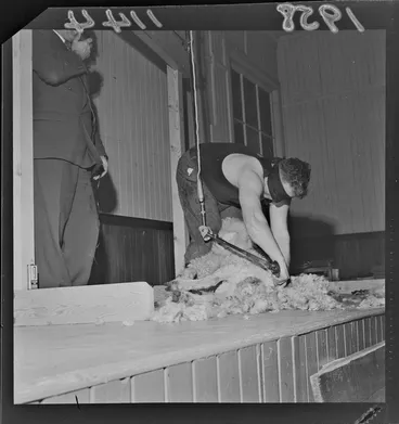Image: A blindfolded Godfrey Bowen giving a shearing demonstration at Saint Andrews Presbyterian Club