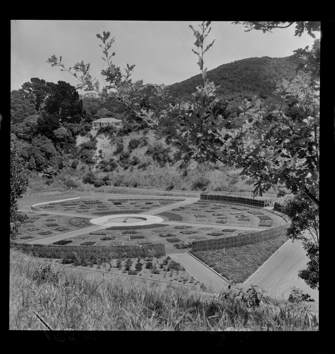 Lady Norwood rose garden at Anderson Park [Botanic Gardens]