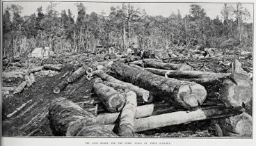 Image: THE LOGS READY FOR THE FIRST STAGE OF THEIR JOURNEY