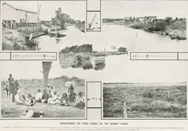 Image: Transforming the Piako - scenes on the Hauraki Plains