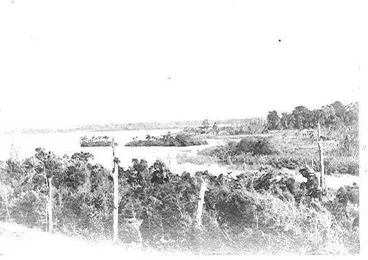 Lake Horowhenua - showing islands Image: Lake Horowhenua - showing islands