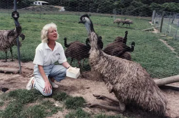 Image: Bluebank Blueberry and Emu Farm, Akatarawa; NZ Small Farmers Association Wellington Branch convenor Sandy Cooper.