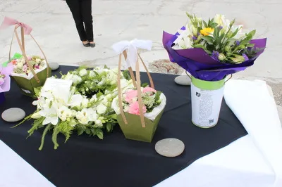 Photograph by Paul Corliss 3115