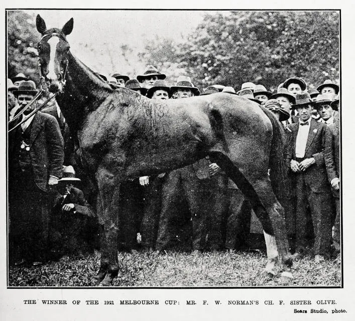 The winner of the 1921 Melbourne Cup: Mr. F. W. Norman's Sister Olive