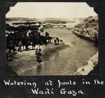 Image: Horses being watered at the Wadi Ghuzze