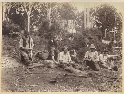 Diggers scraping kauri gum