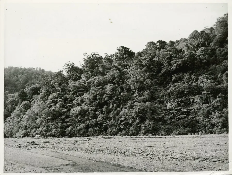 Orongorongo River, Wellington