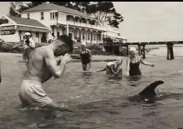 Image: Opo the Dolphin