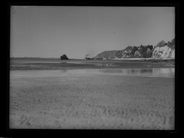 Image: Fifeshire Rock, Nelson