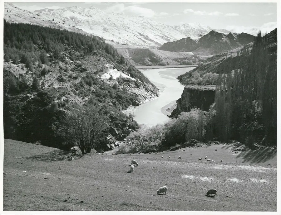 Otago - Shotover River