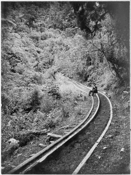 Bush tramway showing wooden rails, at Akatarawa, Price's Bush, circa 1903