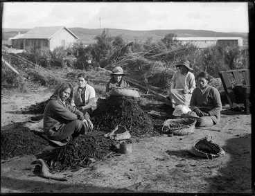 Image: Maori women working with fern roots