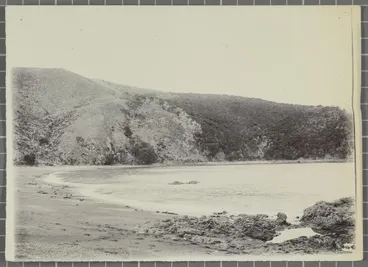 Image: Oihi, Bay of Islands