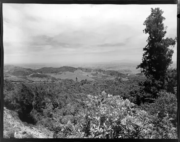 Image: Looking across the bush to the hills and plains beyond, on the Kaimai highway near Tauranga