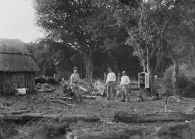 Great Barrier Island. Ti-tree Flat. Exterior of hut.