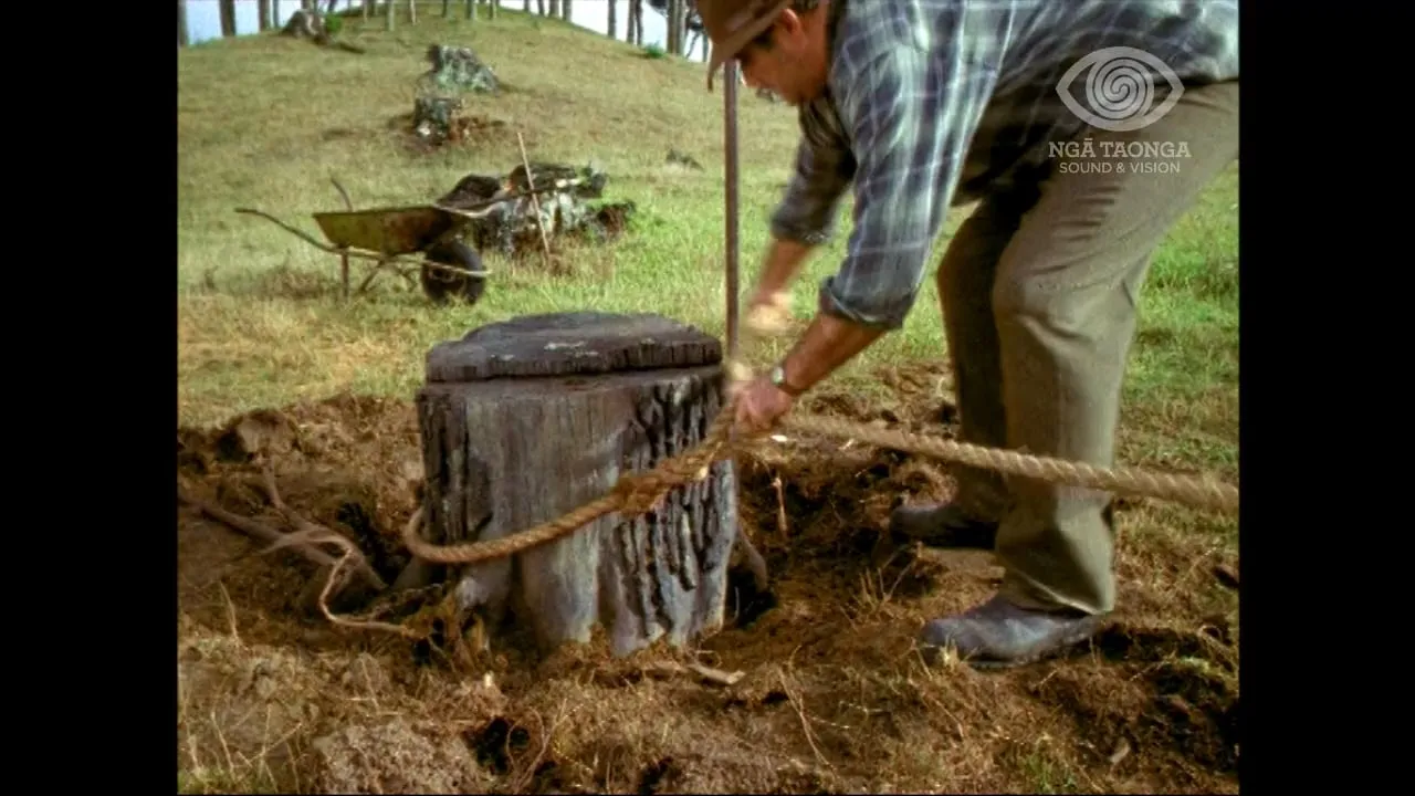 TOYOTA HILUX. BUGGER