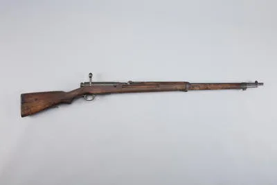 rifle, bolt action