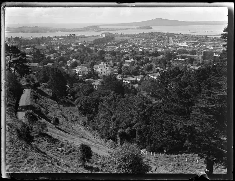 Auckland from Mt Eden
