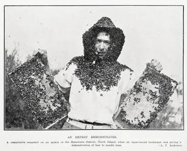 Image: An expert demonstrates