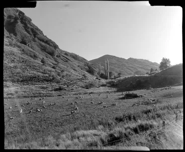 Image: Arthurs Point, Queenstown