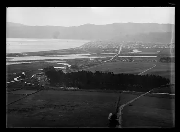 Image: Aerial view of Petone