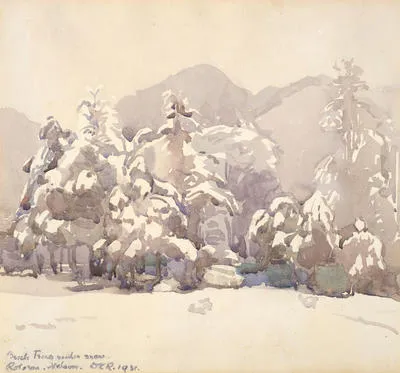 Beech trees under snow, Rotoroa, Nelson