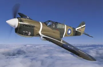 P-40 Kittyhawk painted as 'Wairarapa Wildcat' : digital image