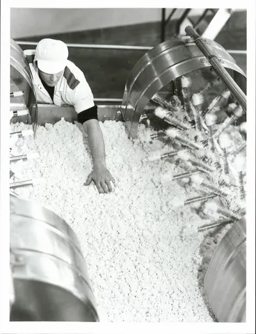 Image: Agriculture - Dairy Factories -  Cheese