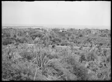 Image: Hokio Beach - Horowhenua