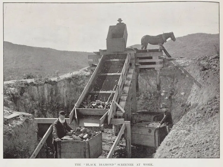 The 'Back Diamond' screener at work