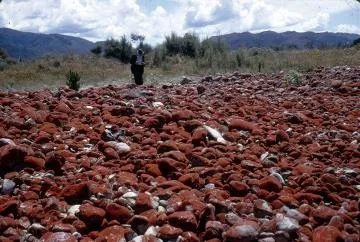 "Woodside Railway Station, Greytown"